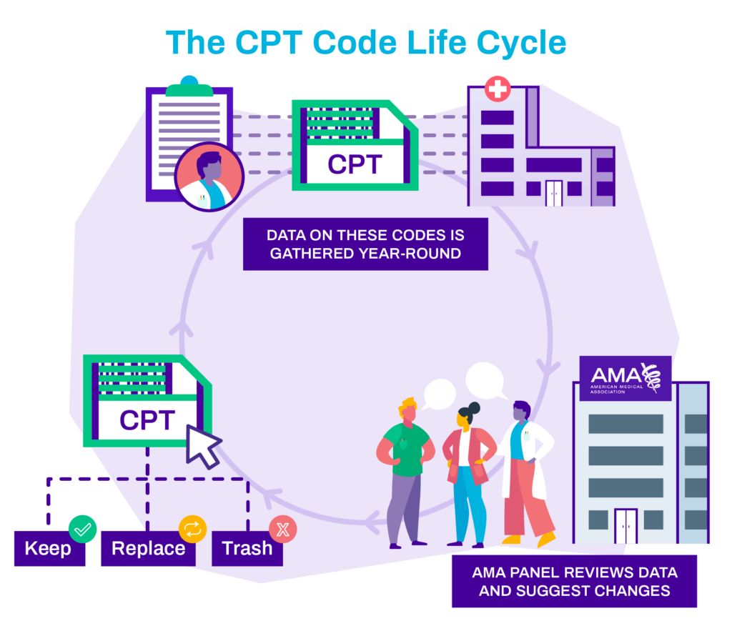 Lifecycle of CPT codes